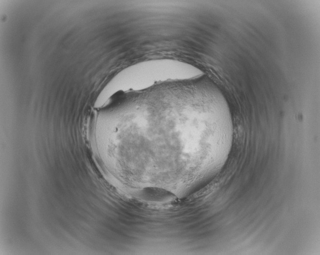 X0000061740767200512302211