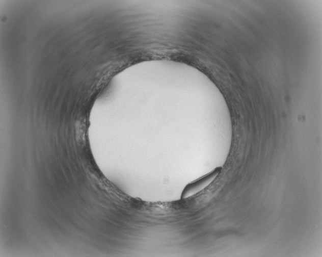 X0000061740768200512302211