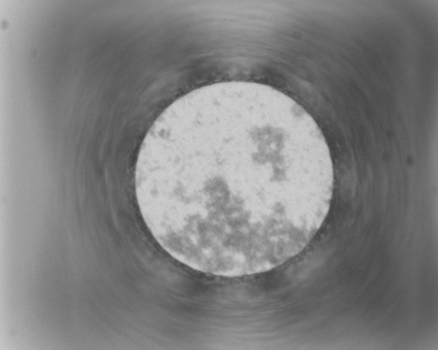 X0000061740769200512302211