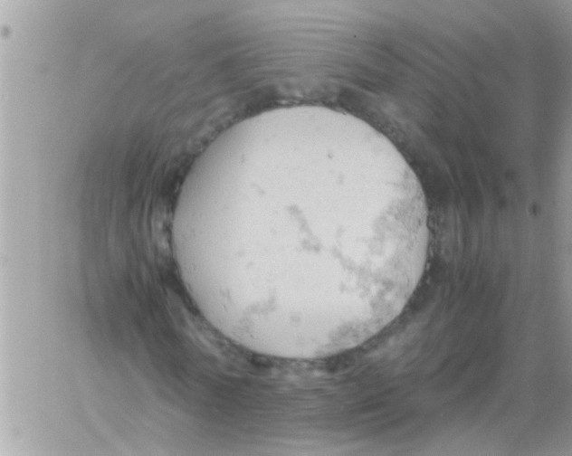 X0000061740770200512302211