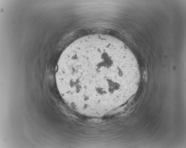 X0000061740771200512302211