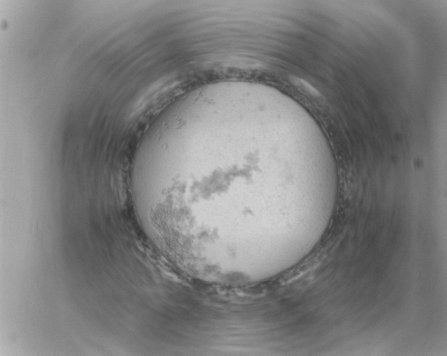 X0000061740774200512302210