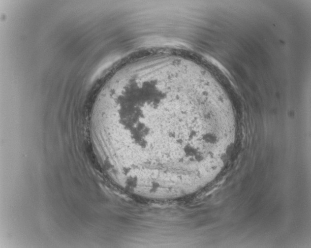 X0000061740775200512302210