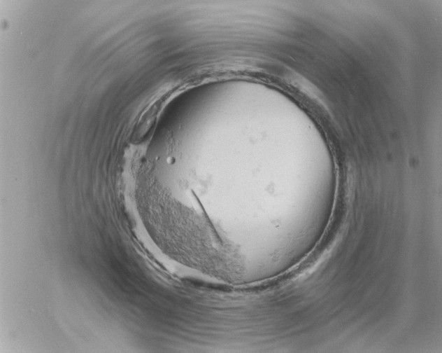 X0000061740777200512302210