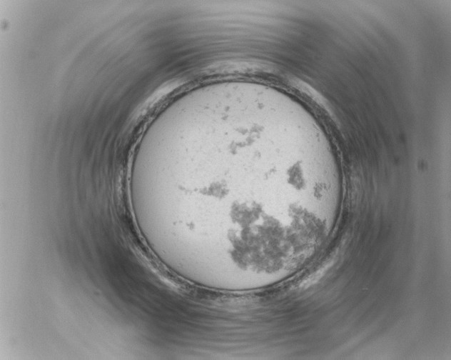 X0000061740778200512302210