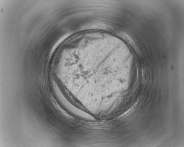 X0000061740780200512302210