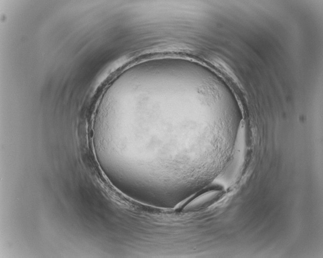 X0000061740781200512302210