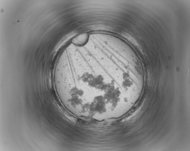 X0000061740782200512302210