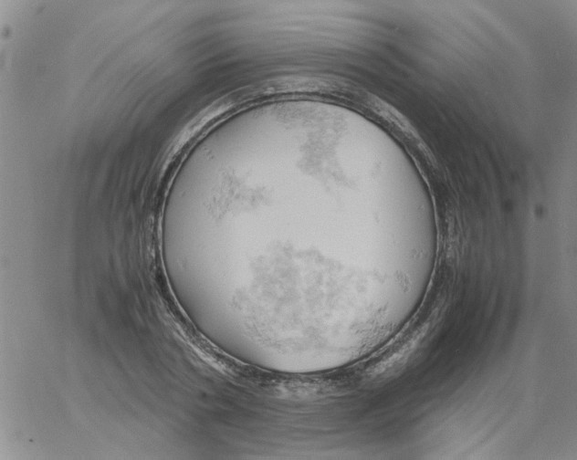 X0000061740786200512302210