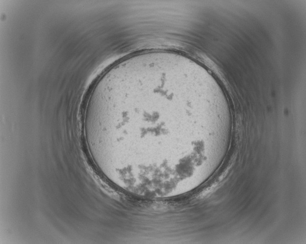 X0000061740787200512302210