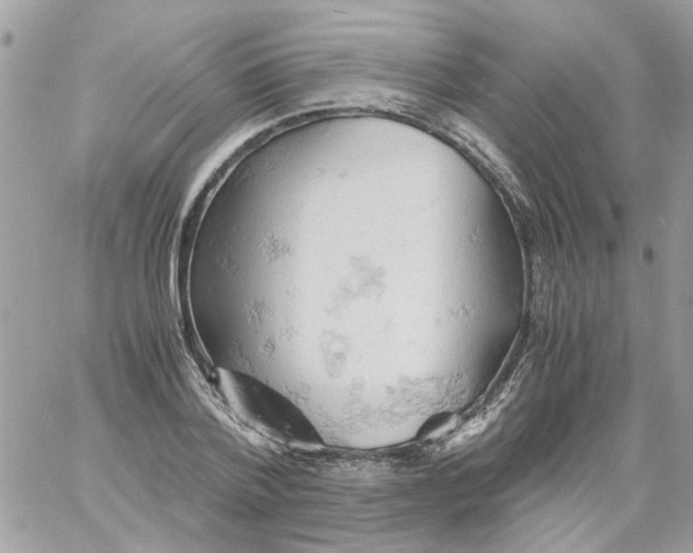 X0000061740788200512302210