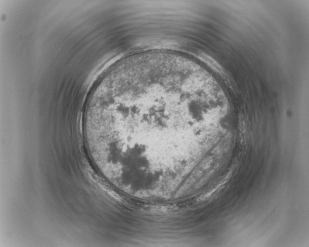 X0000061740790200512302210