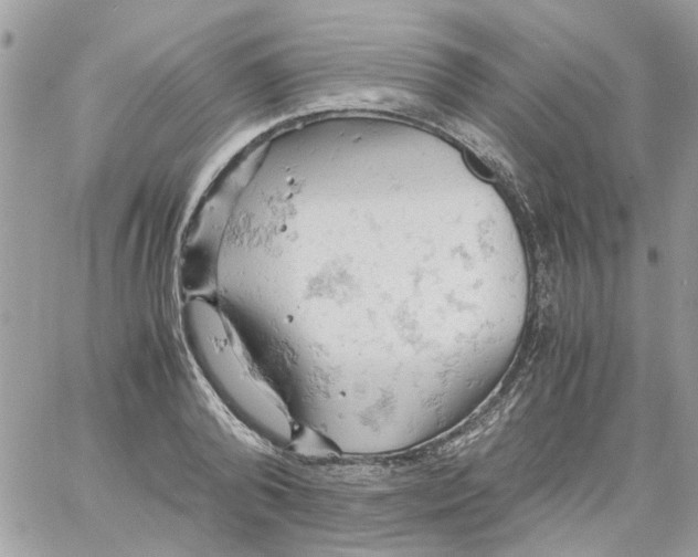 X0000061740792200512302210