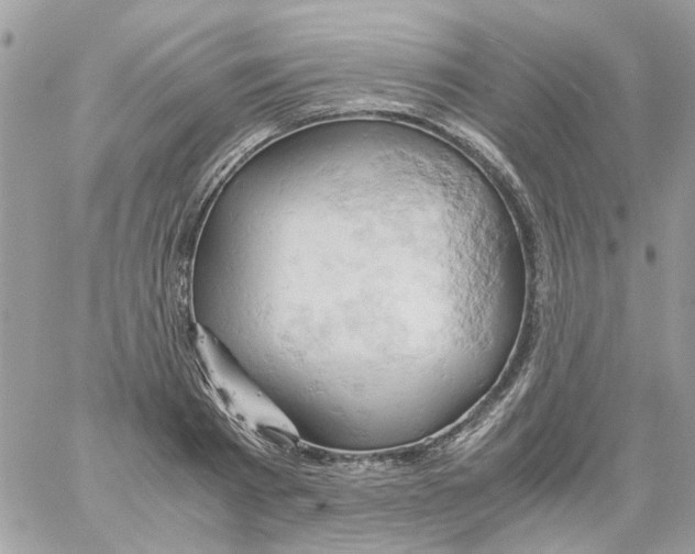 X0000061740793200512302210