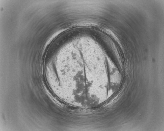 X0000061740795200512302210