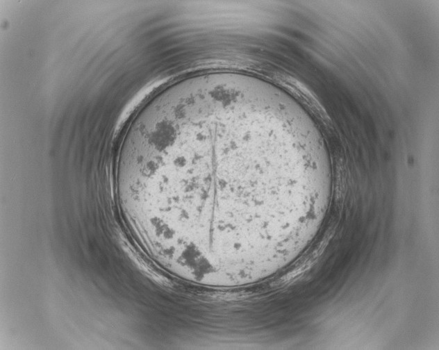 X0000061740796200512302210