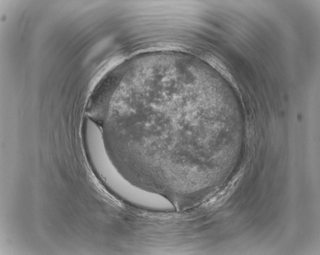 X0000061740797200512302210