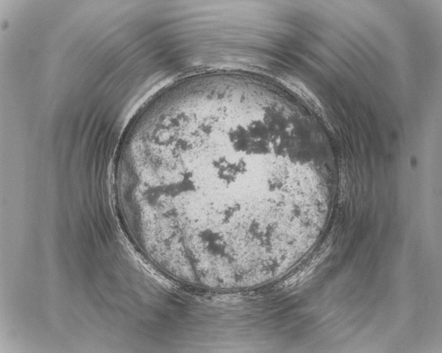 X0000061740798200512302210