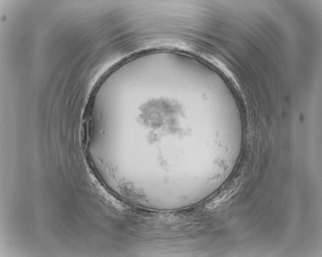 X0000061740799200512302210