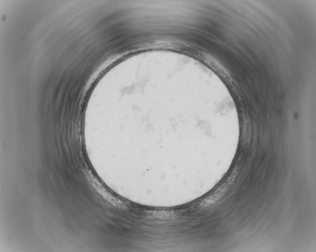 X0000061740800200512302210