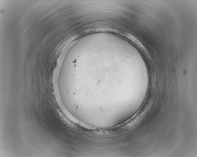 X0000061740801200512302210