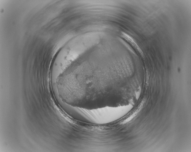 X0000061740802200512302210