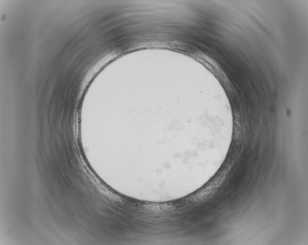 X0000061740804200512302210