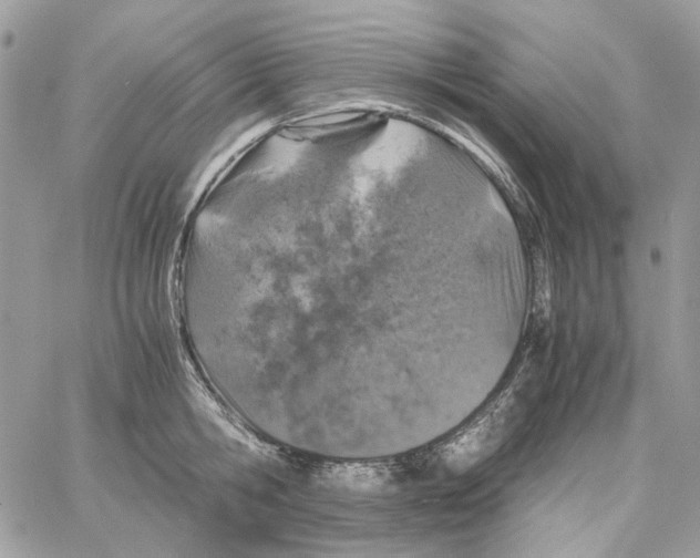 X0000061740806200512302210