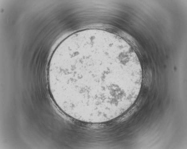 X0000061740808200512302210