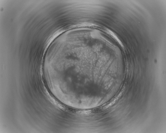 X0000061740810200512302210