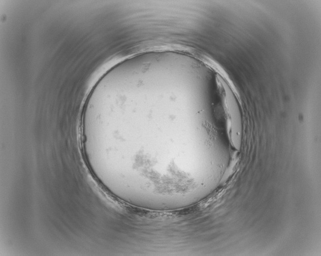 X0000061740811200512302210