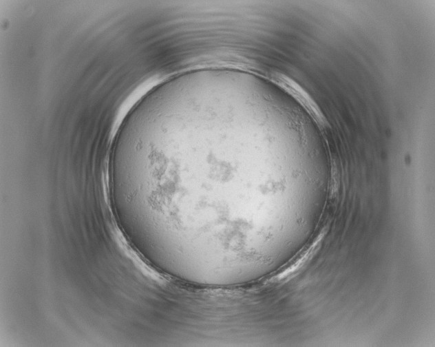 X0000061740812200512302210