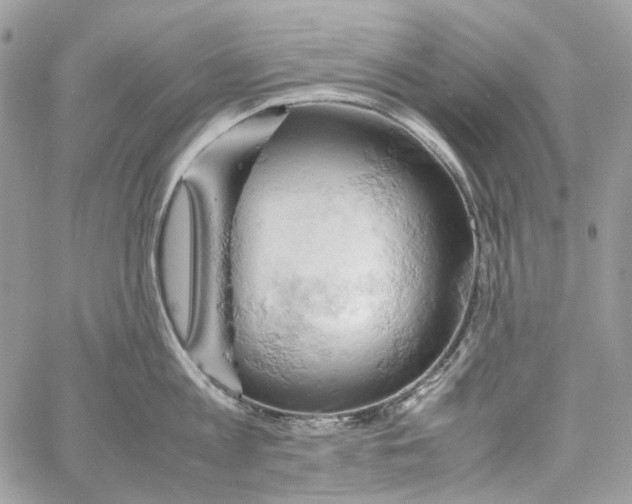 X0000061740813200512302210