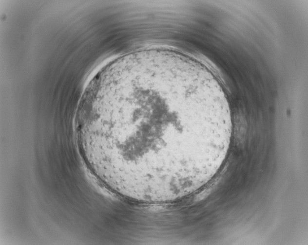 X0000061740814200512302210