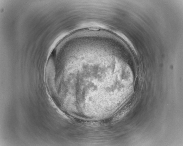 X0000061740815200512302210