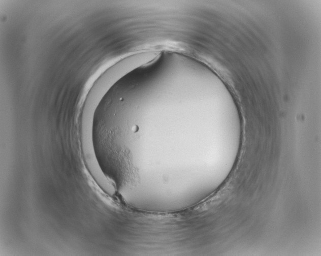 X0000061740816200512302210