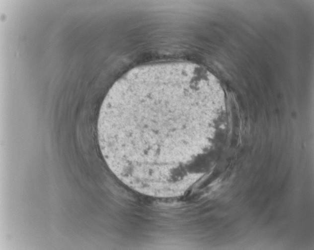 X0000061740817200512302209