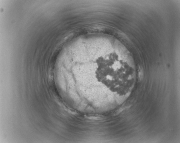 X0000061740819200512302209