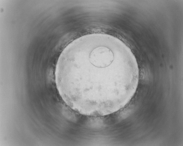 X0000061740820200512302209