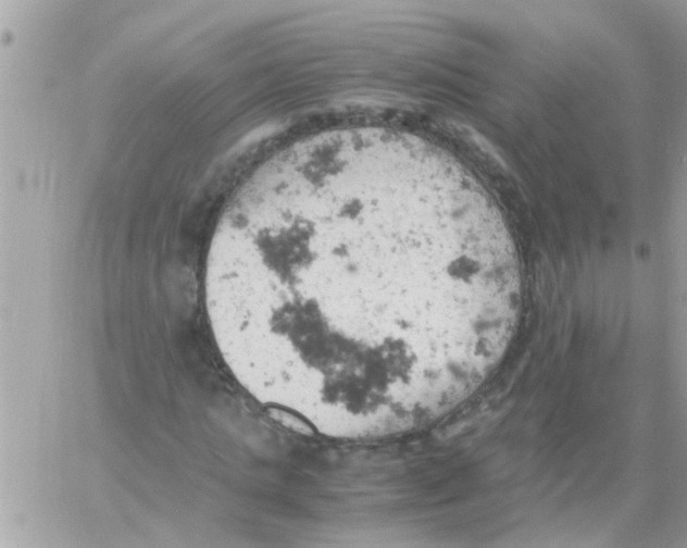 X0000061740821200512302209