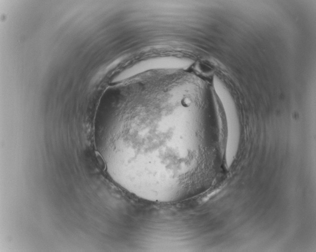 X0000061740822200512302209