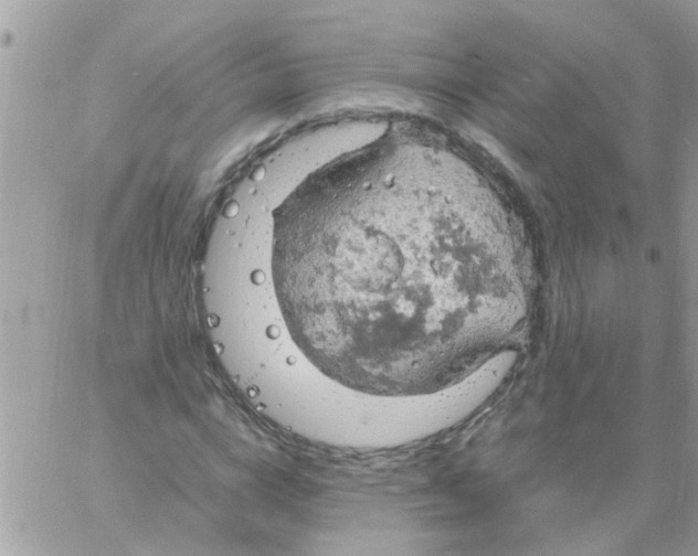 X0000061740824200512302209