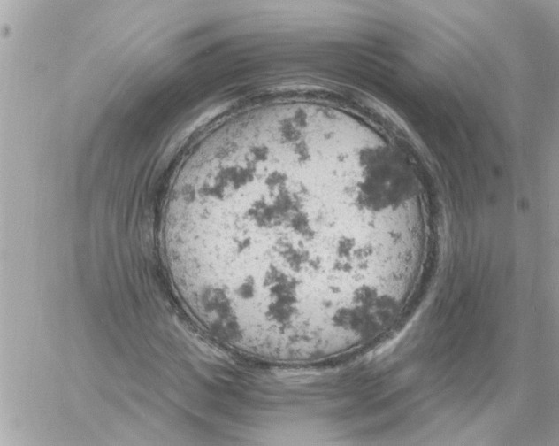 X0000061740825200512302209