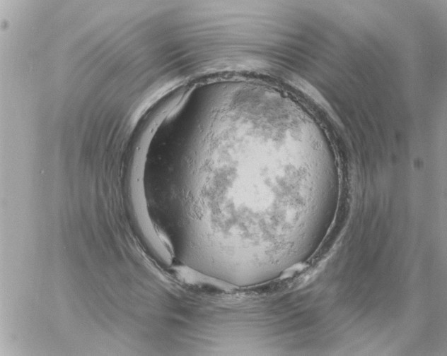 X0000061740826200512302209