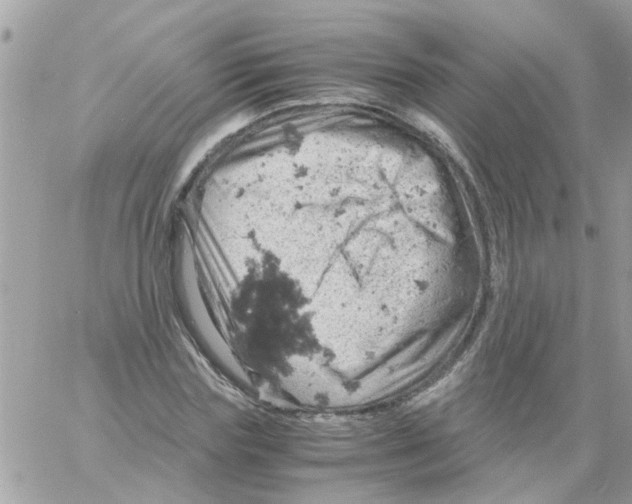 X0000061740827200512302209