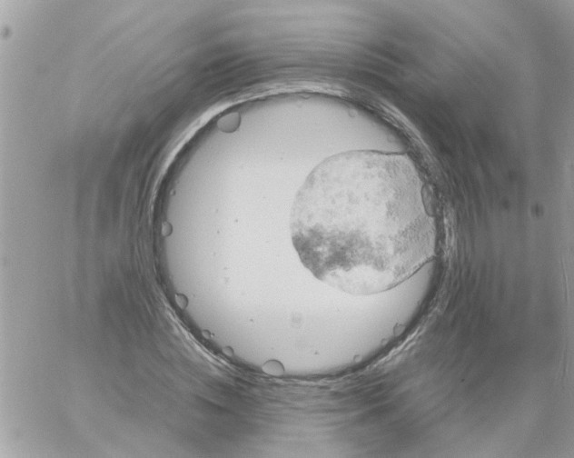 X0000061740828200512302209