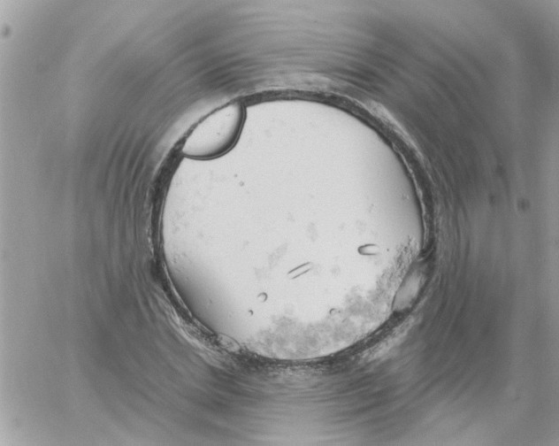 X0000061740830200512302209