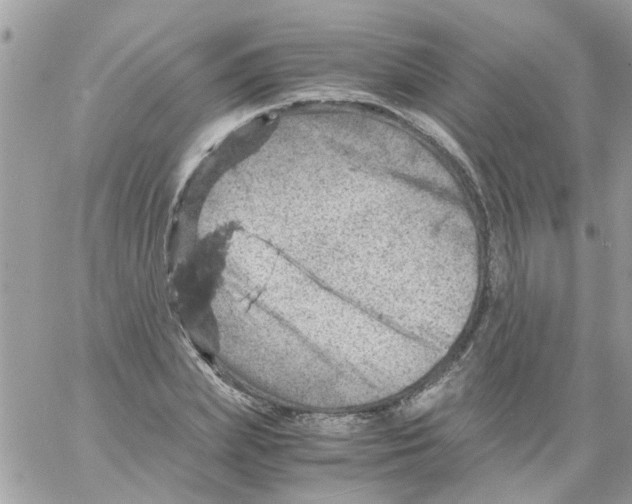 X0000061740831200512302209