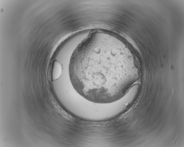 X0000061740832200512302209