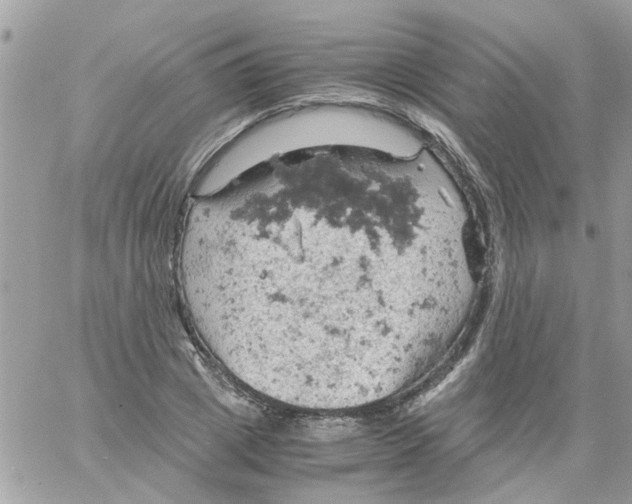 X0000061740833200512302209